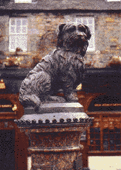 Greyfriars Bobby