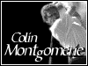 Colin Montgomerie