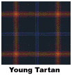 Young Family Tartan