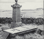 Grave of Donald Livingstone and his family.  Cick to see a larger version